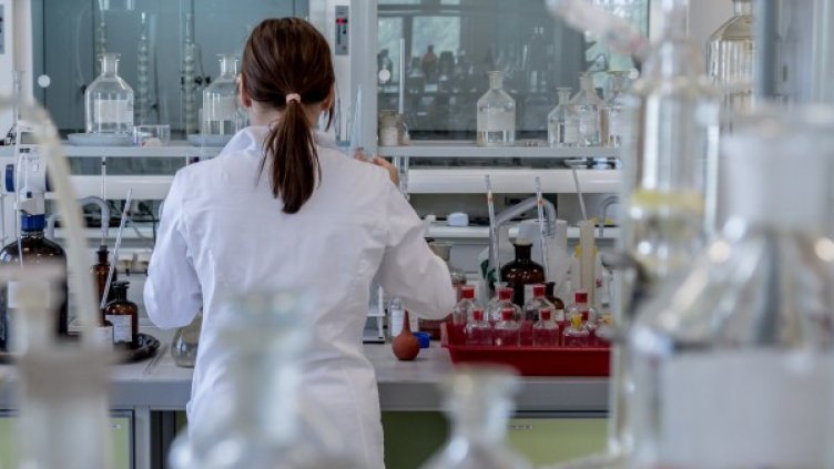 Снимка: Pixabay