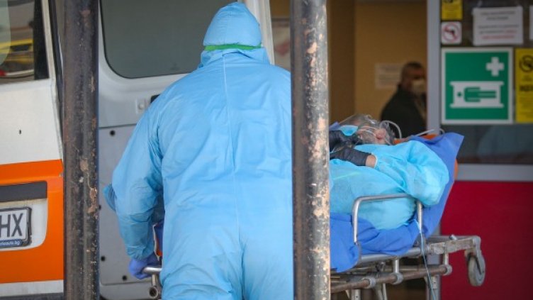 Снимка: Димитър Кьосемарлиев, Dnes.bg