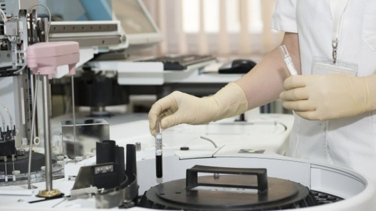 Снимка: Pixabay