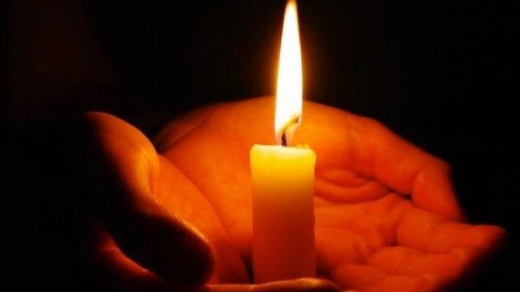 Снимка: БЛС