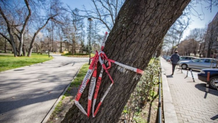 Снимка: Димитър Кьосемарлиев, Dnes.bg