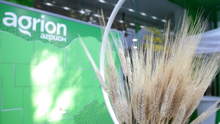 Снимка: Агрион