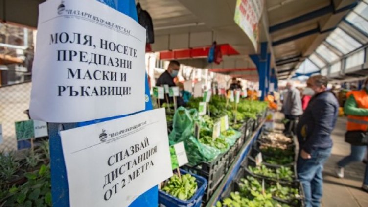 Снимка: Димитър Кьосемарлиев, Dnes.bg