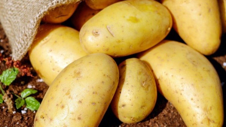 Снимка: Pixabay