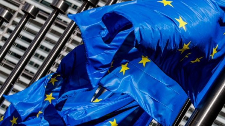 Снимка: архив, БГНЕС