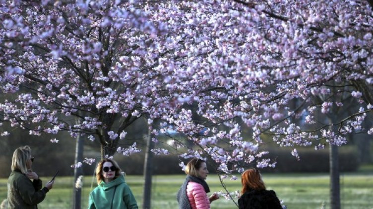 Снимка: БГНЕС