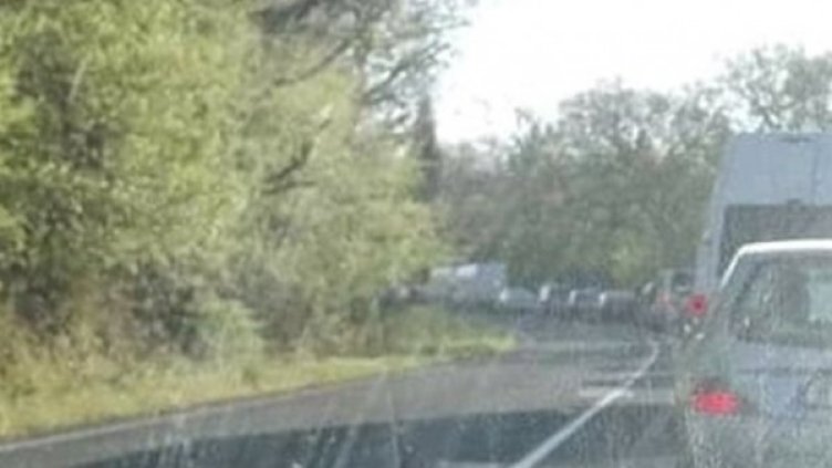 Снимка: Facebook