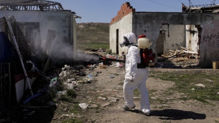 Снимка: архив, БГНЕС