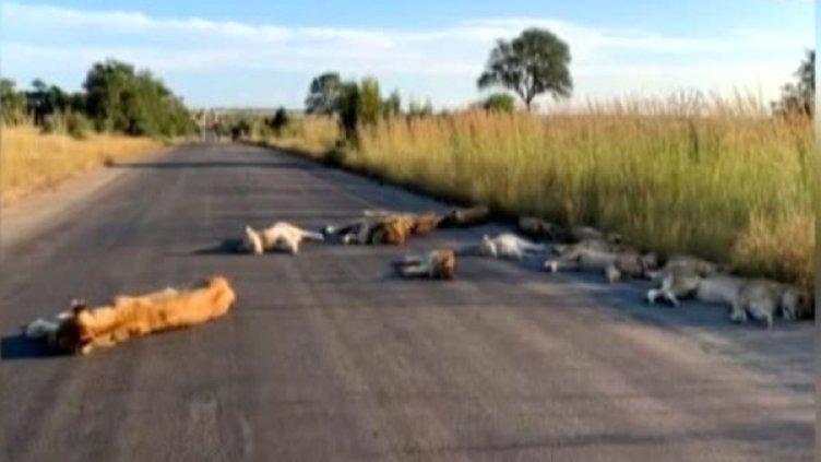 Снимка: Bulgaria ON AIR