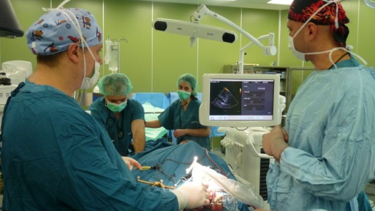 Снимка: БГНЕС