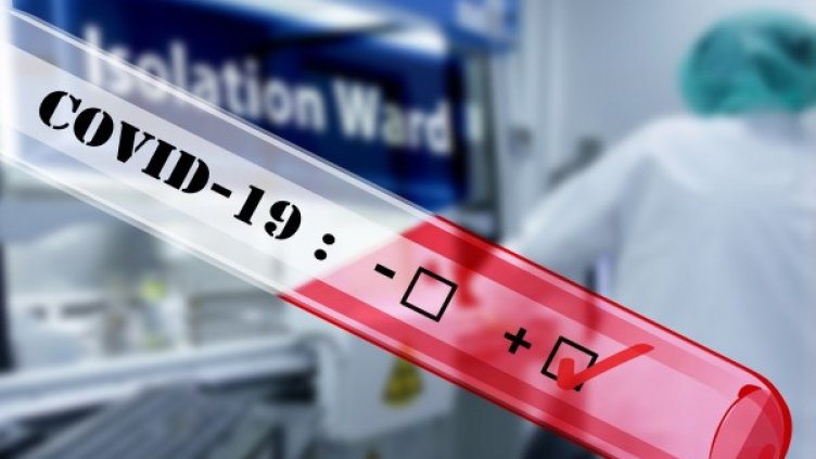 Снимка: Pixabay