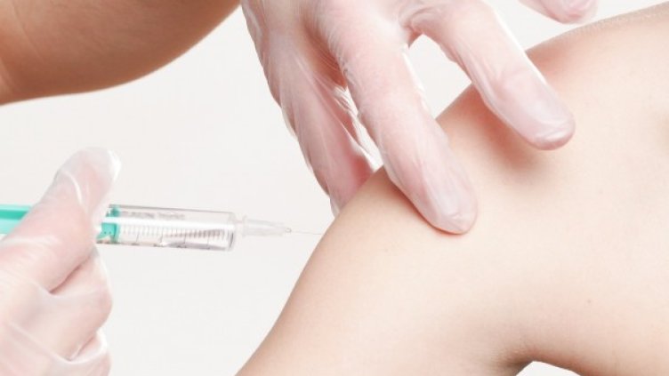 Снимка: Pixabay