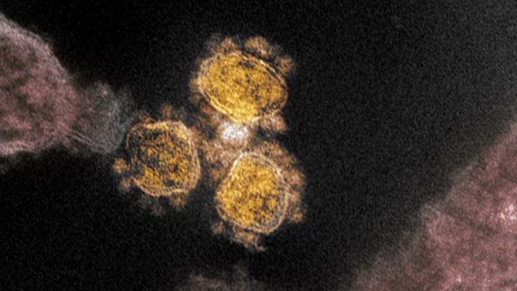 Снимка: архив, БГНЕС