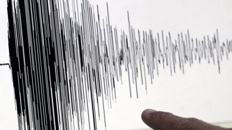 Снимка: архив, БГНЕС