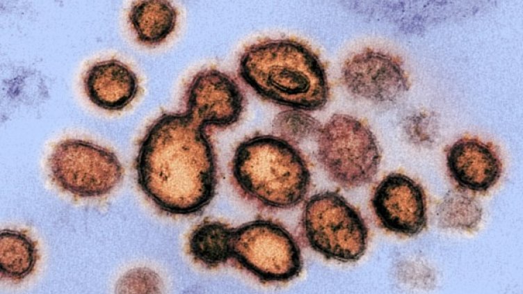 Снимка: архив, БГНЕС