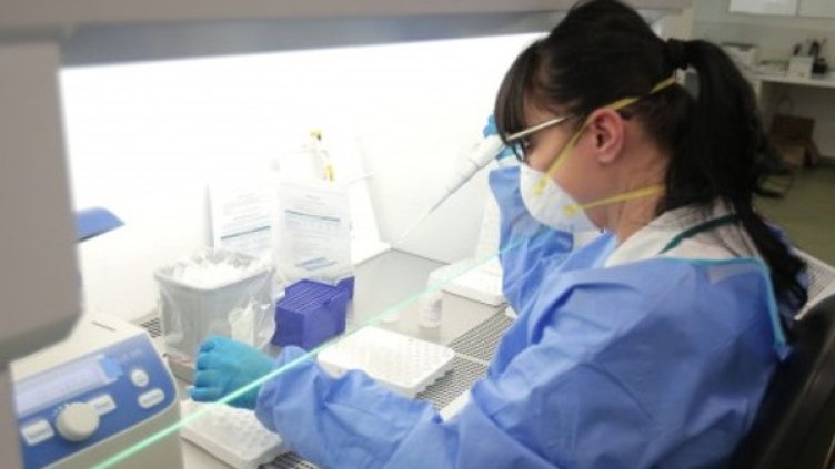 Снимка:Димитър Кьосемарлиев, Dnes.bg