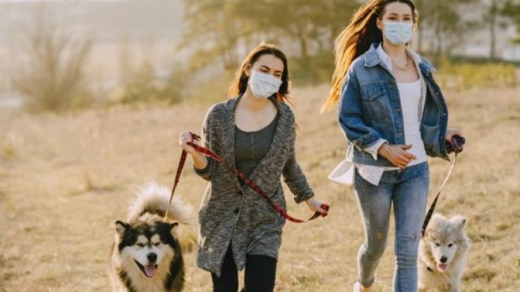 Снимка: pexels.com