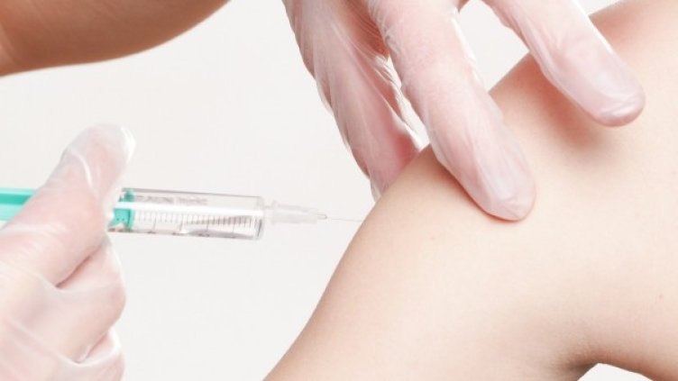 Снимка: Pixabay