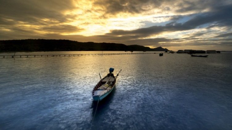 Снимка: Pixabay