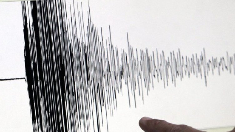 Снимка: архив, БГНЕС