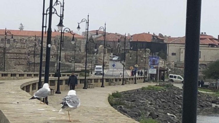 Снимка: БГНЕС