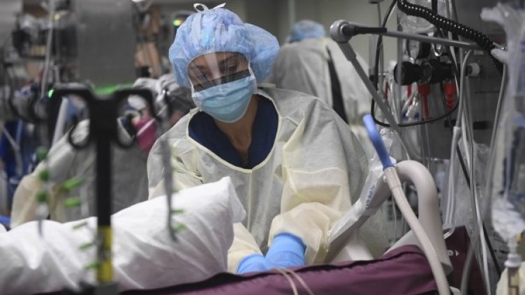 Снимка: БГНЕС