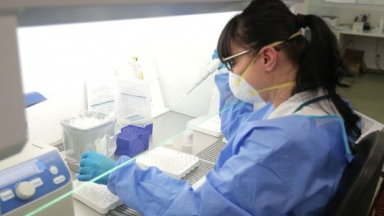 Снимка:Димитър Кьосемарлиев, Dnes.bg