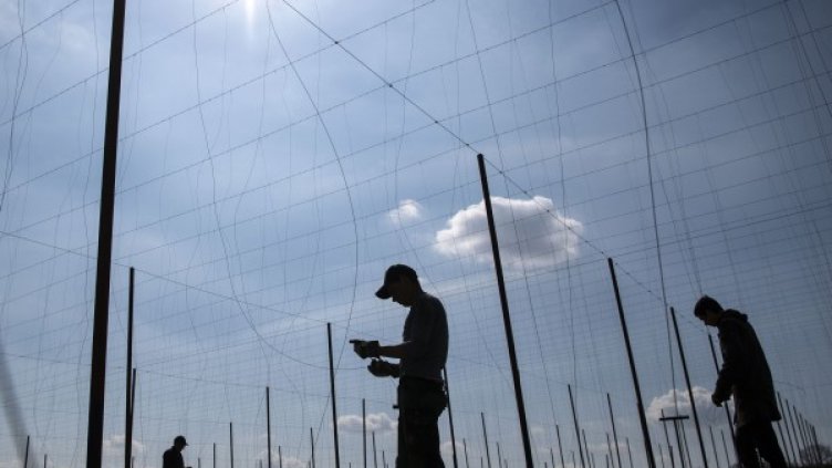 Снимка: БГНЕС