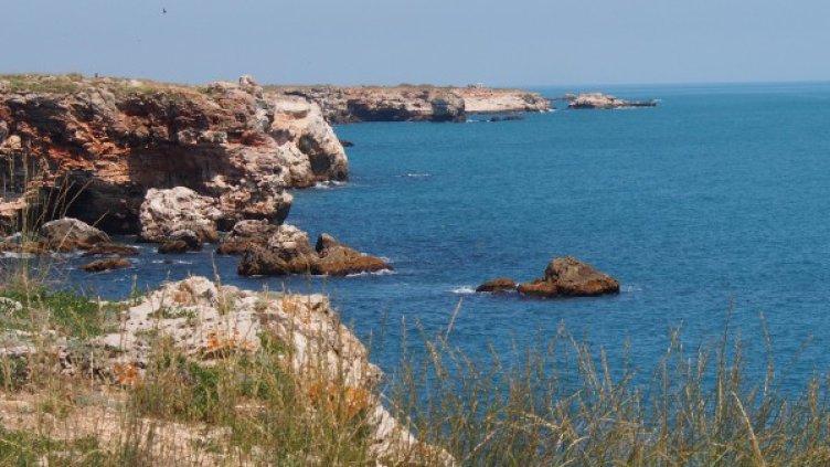 Снимка: БГНЕС, архив