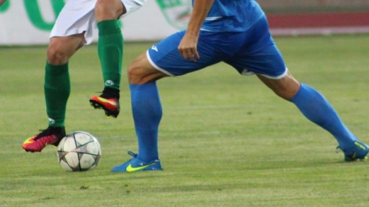 Снимка: БГНЕС, архив