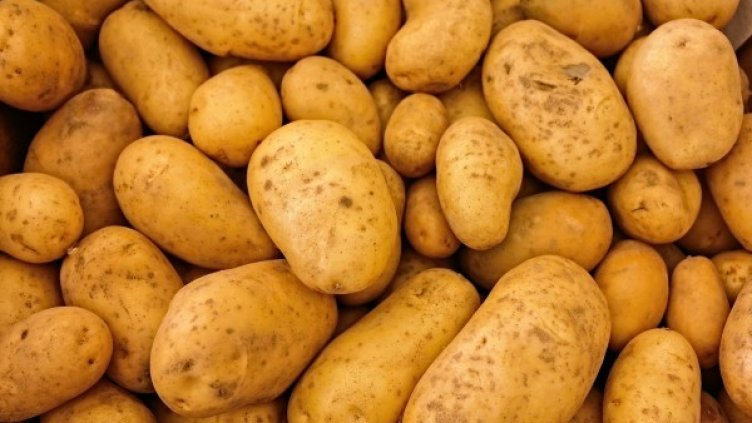 Снимка: Pixabay