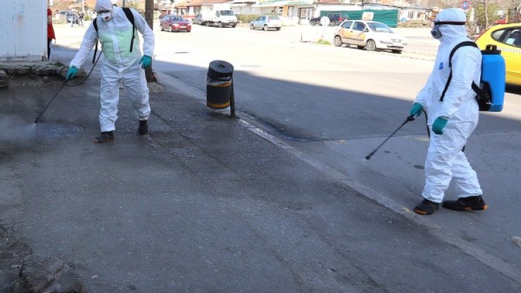 Снимка: БГНЕС