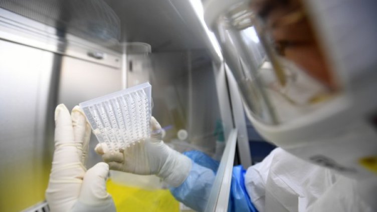 Снимка: архив, БГНЕС