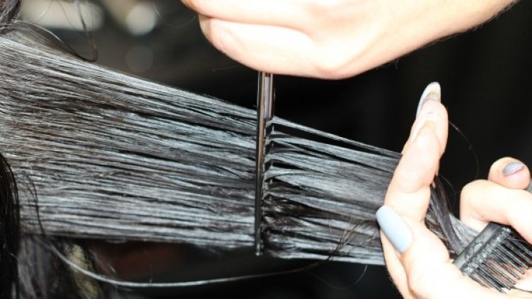 Снимка: Pixabay