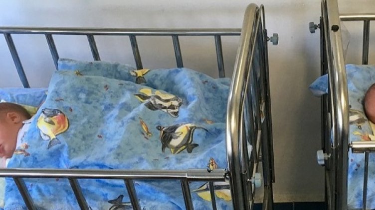 Снимка: БГНЕС, архив