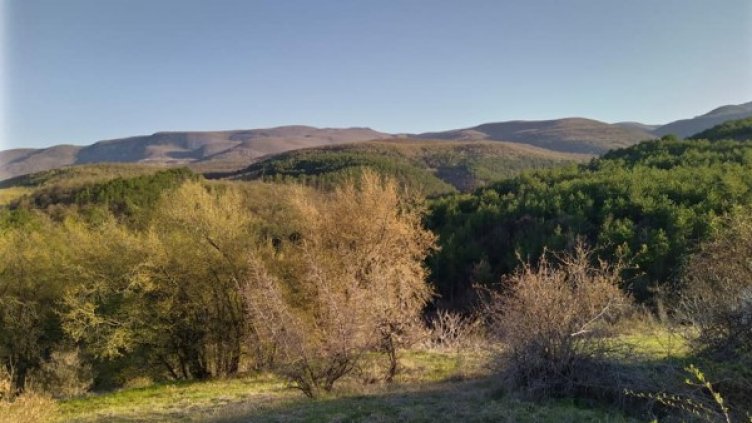 Снимка: Павел Гълъбов/dnes.bg