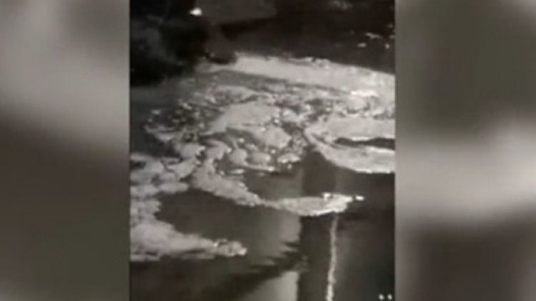 Снимка: Кадър, bTV