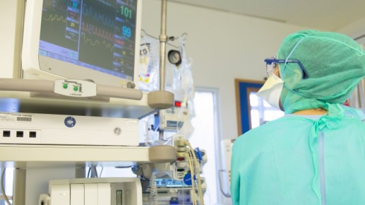 Снимка: архив, БГНЕС