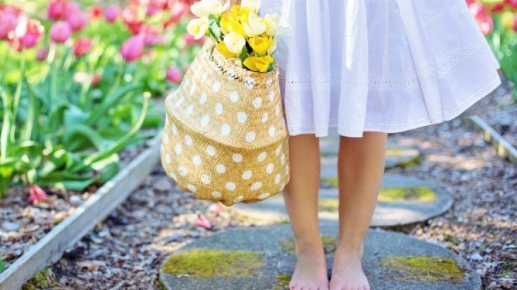 Снимка: Pexels