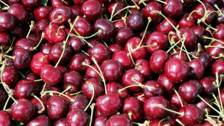 Снимка: Pixabay