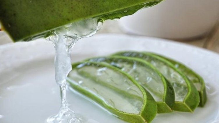 Снимка: Pixabay