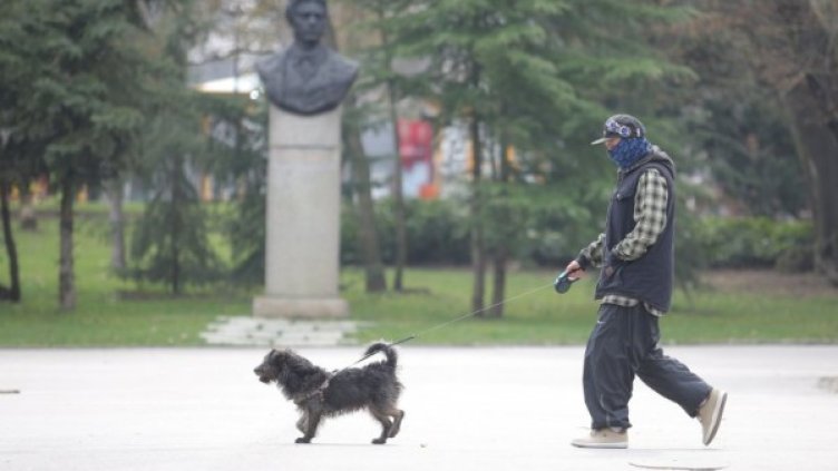 Снимка: Димитър Кьосемарлиев, Dnes.bg