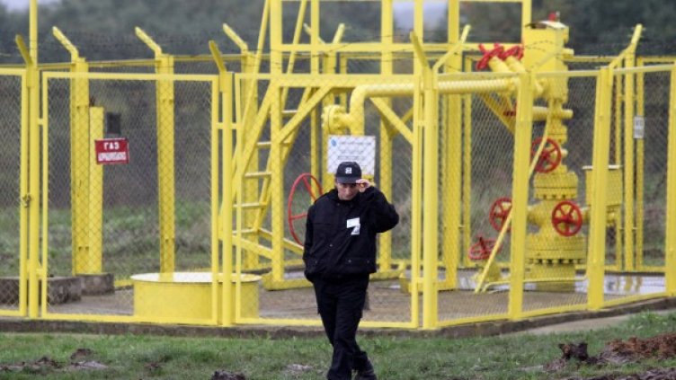 Снимка: БГНЕС