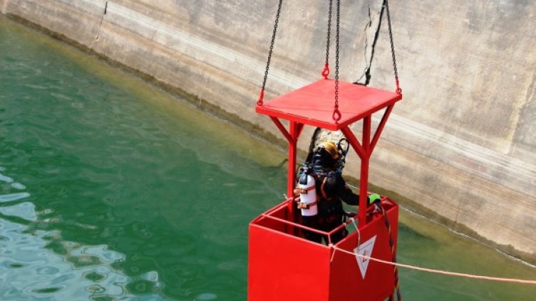 Снимка: архив, БГНЕС