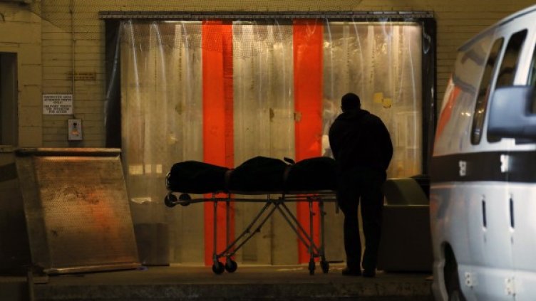 Снимка: архив, БГНЕС