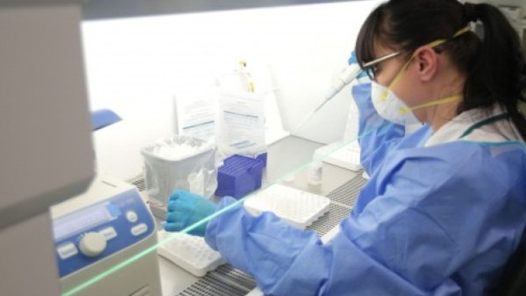 Снимка:Димитър Кьосемарлиев, Dnes.bg