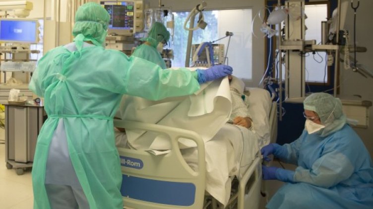 Снимка: архив, БГНЕС