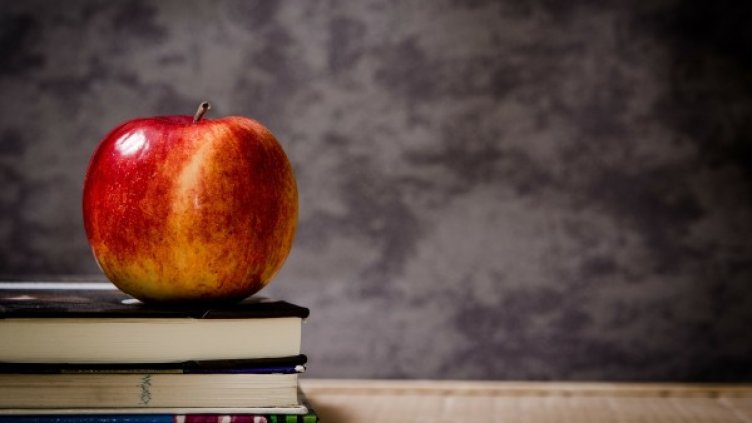 Снимка: Pixabay