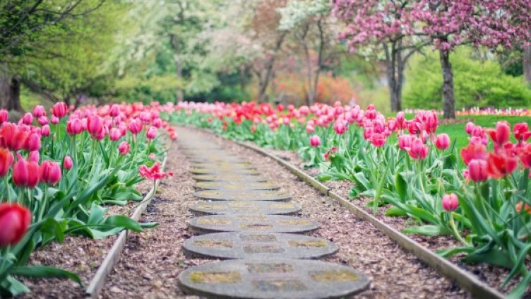 Дъждовно и топло и във вторник, температурите - до 25&deg;C
