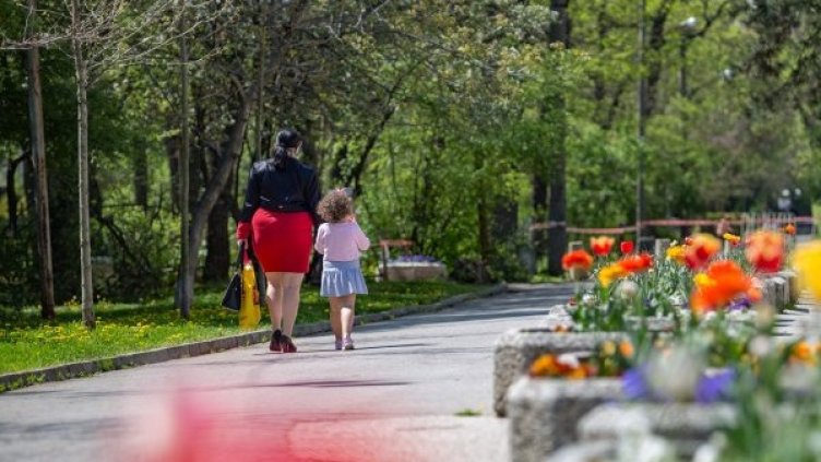 Снимка: Димитър Кьосемарлиев, Dnes.bg